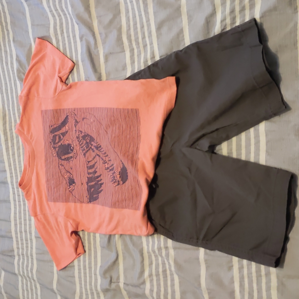 Boys T-rex Tshirt and shorts